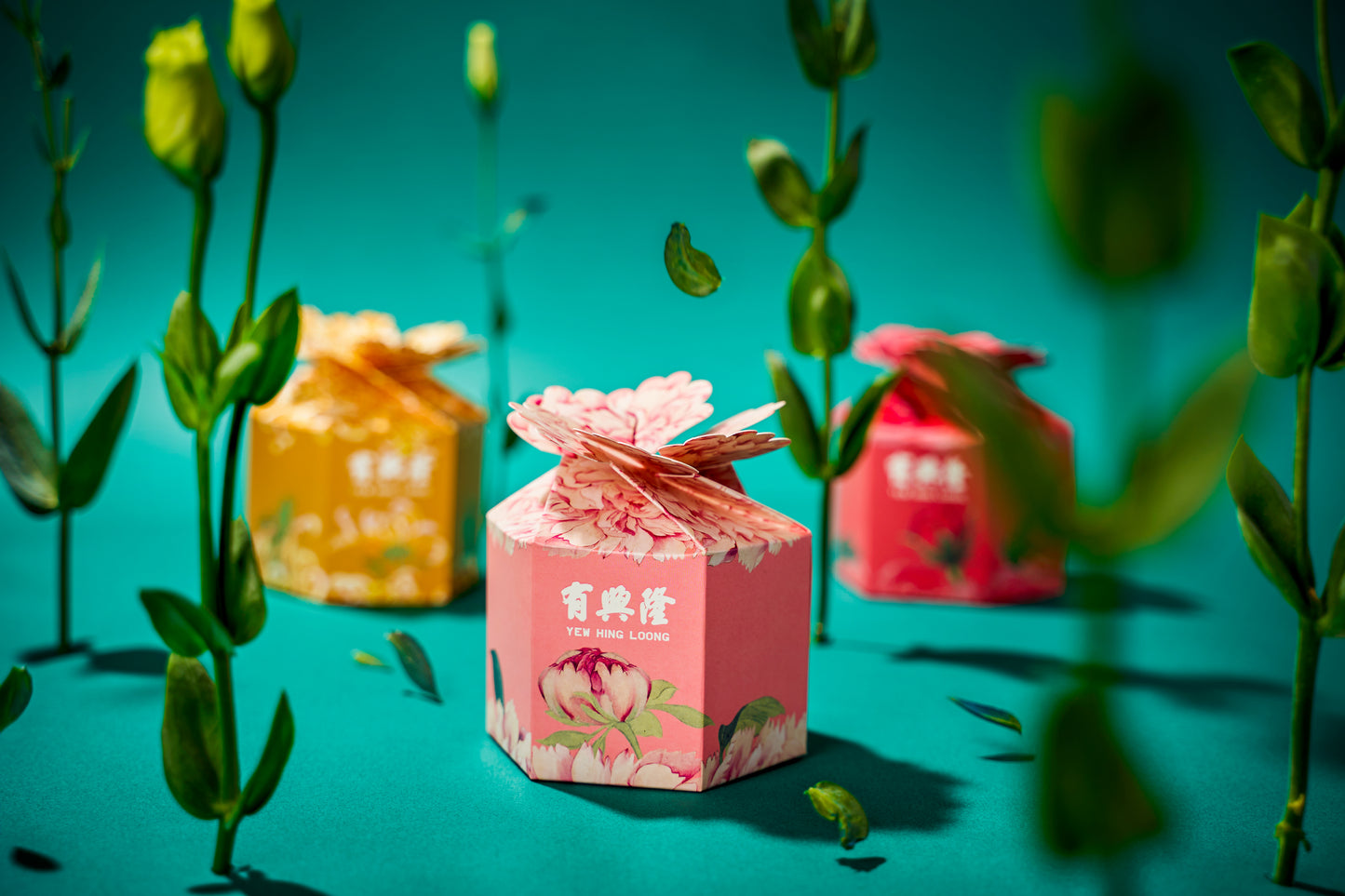 佐罗花胶3入礼盒|初体验版
